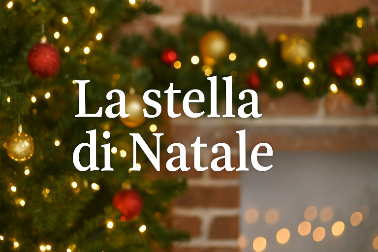 Film di Natale in tv, La stella di Natale: trama